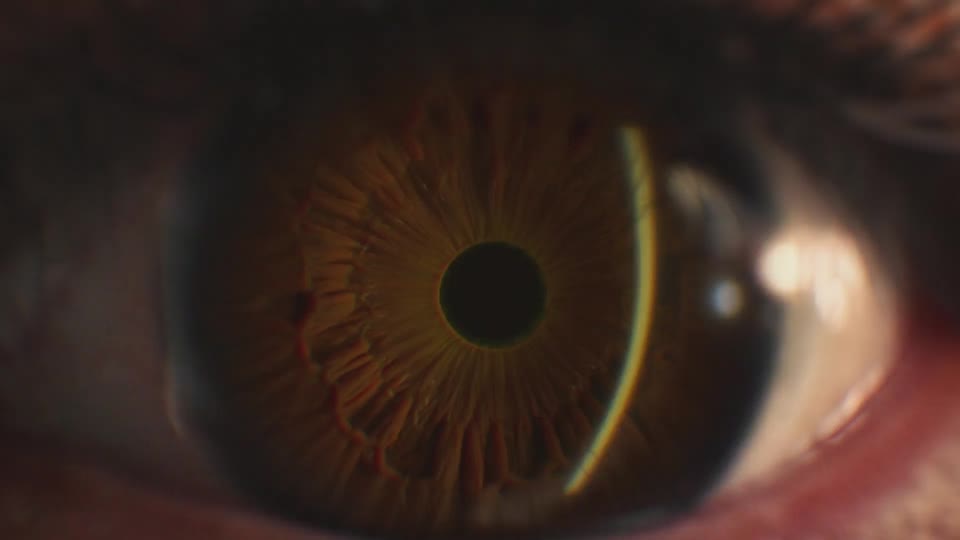 Hennessy — Each Drop is an Odyssey